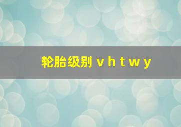 轮胎级别 v h t w y